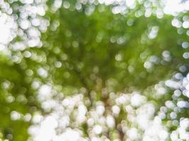 fundo verde, círculo bokeh em branco para design foto