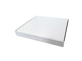 caixa de papelão fechada em branco branca para pizza foto