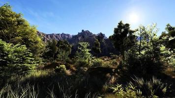 rica área de floresta natural, córregos, céu, montanhas e várias plantas renderização em 3d foto