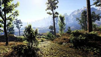 rica área de floresta natural, córregos, céu, montanhas e várias plantas renderização em 3d foto