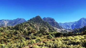 rica área de floresta natural, córregos, céu, montanhas e várias plantas renderização em 3d foto