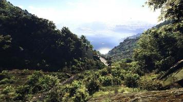 rica área de floresta natural, córregos, céu, montanhas e várias plantas renderização em 3d foto