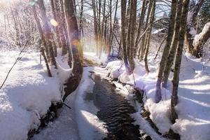 pequeno rio na floresta de inverno foto