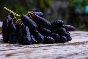 uvas de bruxa, gotas de lua, uvas ou safiras doces colhidas do jardim frescas e novas. é uma uva sem sementes que é doce e deliciosa. foto