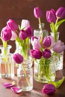 lindo buquê de flores de tulipa roxa em vasos foto