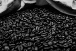 grãos de café preto e branco foto