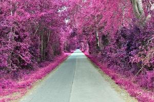 bela paisagem infravermelha roxa em alta resolução foto