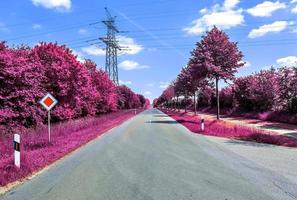 bela paisagem infravermelha roxa em alta resolução foto