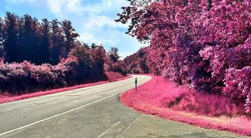 bela paisagem infravermelha roxa em alta resolução foto