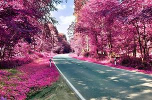 bela paisagem infravermelha roxa em alta resolução foto