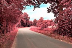 bela paisagem infravermelha roxa em alta resolução foto