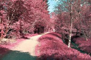 bela paisagem infravermelha roxa em alta resolução foto