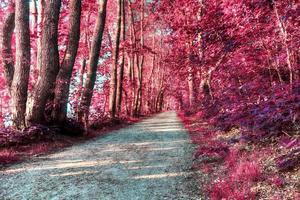 belo panorama infravermelho rosa e roxo de uma paisagem rural com um céu azul foto