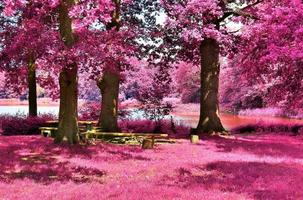 belo panorama infravermelho rosa e roxo de uma paisagem rural com um céu azul foto