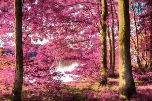 belo panorama infravermelho rosa e roxo de uma paisagem rural com um céu azul foto