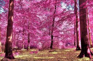 belo panorama infravermelho rosa e roxo de uma paisagem rural com um céu azul foto