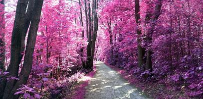 belo panorama infravermelho rosa e roxo de uma paisagem rural com um céu azul foto