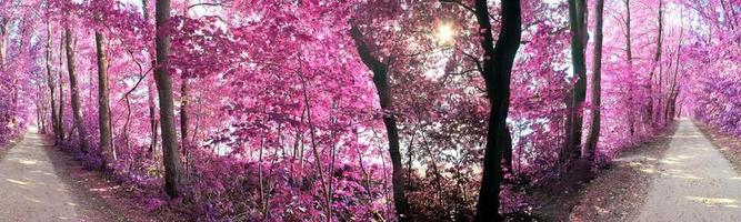 belo panorama infravermelho rosa e roxo de uma paisagem rural com um céu azul foto