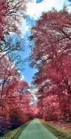 belo panorama infravermelho rosa e roxo de uma paisagem rural com um céu azul foto