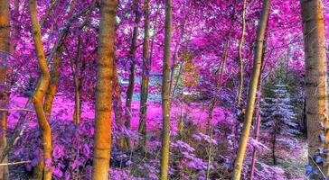 belo panorama infravermelho rosa e roxo de uma paisagem rural com um céu azul foto