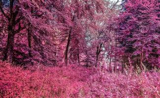 belo panorama infravermelho rosa e roxo de uma paisagem rural com um céu azul foto