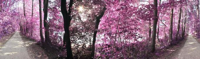 belo panorama infravermelho rosa e roxo de uma paisagem rural com um céu azul foto