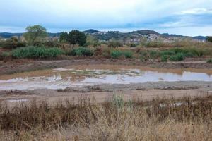 rio llobregat muito perto de sua foz no mar mediterrâneo, perto da cidade de barcelona. foto