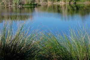 pequeno lago de água doce foto