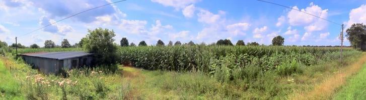 belo panorama de alta resolução de uma paisagem de país do norte da Europa com campos e grama verde foto