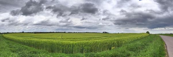 belo panorama de alta resolução de uma paisagem de país do norte da Europa com campos e grama verde foto