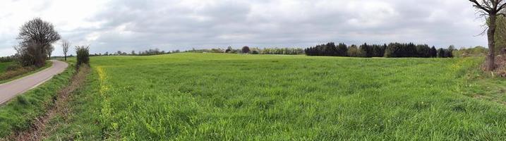 belo panorama de alta resolução de uma paisagem de país do norte da Europa com campos e grama verde foto