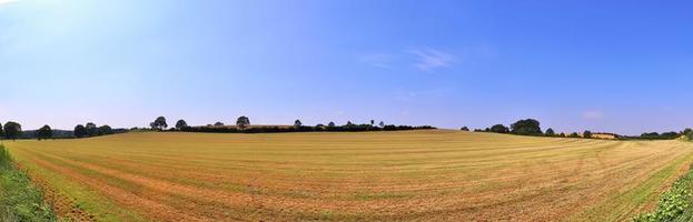 belo panorama de alta resolução de uma paisagem de país do norte da Europa com campos e grama verde foto