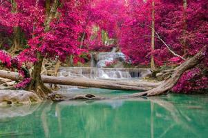 cachoeira em floresta densa no parque nacional de cachoeira de erawan, foto