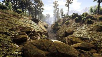 rica área de floresta natural, córregos, céu, montanhas e várias plantas renderização em 3d foto