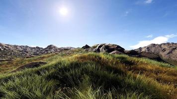 rica área de floresta natural, córregos, céu, montanhas e várias plantas renderização em 3d foto