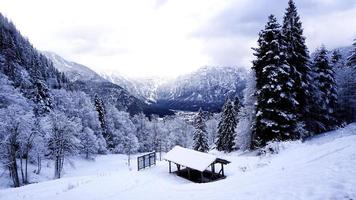 passarela caminhadas na neve até a antiga mina de sal de hallstatt passar a floresta de pinheiros e paisagem de montanha de neve de inverno foto