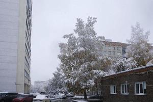 primeira neve nos galhos e folhas das árvores de outono das ruas da cidade foto