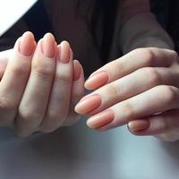 mãos femininas com manicure rosa elegante em fundo branco foto