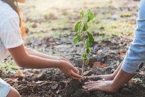 criança e mãe plantando uma árvore nova