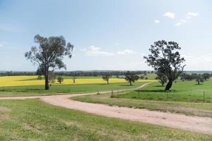vista do ponto de vista das áreas rurais na austrália regional, cidade de walla walla. foto