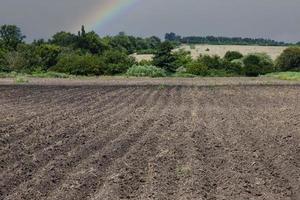 padrão de linhas em terras aráveis no contexto de um arco-íris e um céu chuvoso. foto
