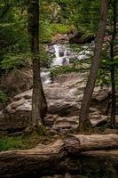 foto vertical de Cunningham Falls em Maryland