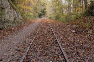 trilhos de trem cobertos de folhas caídas foto