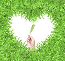 moldura de foto de grama de coração verde isolado com mão