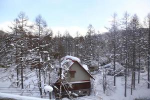 casas cobertas de neve foto