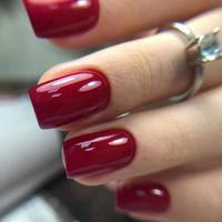 manicure feminino vermelho na moda elegante. mãos de uma mulher com manicure vermelho nas unhas foto