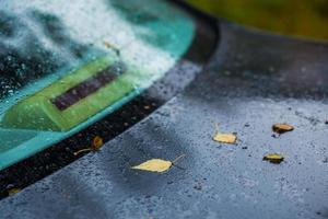 carro azul escuro no dia chuvoso do outono com folhas de bétula laranja - foco seletivo com desfoque closeup foto