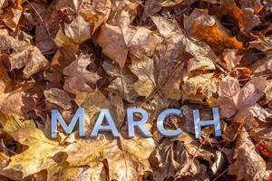 a palavra marcha colocada com letras de metal prateado no chão folhas de bordo secas foto