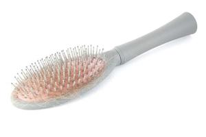 escova de cabelo com queda de cabelo no fundo branco foto