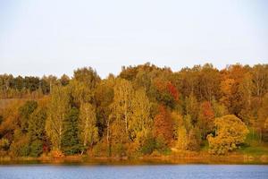 floresta de outono amarela e laranja em reiverbank foto